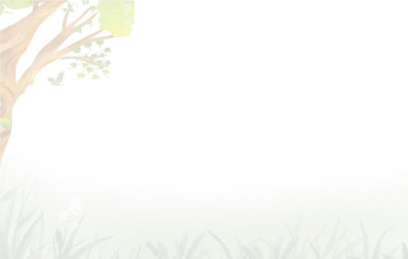 subscriptions-image-alt