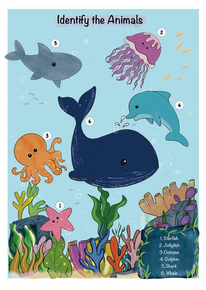 Miss. Dolfey - Under the Sea - Image 2