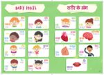 Padho Aur Seekho Read and Learn - Image 5
